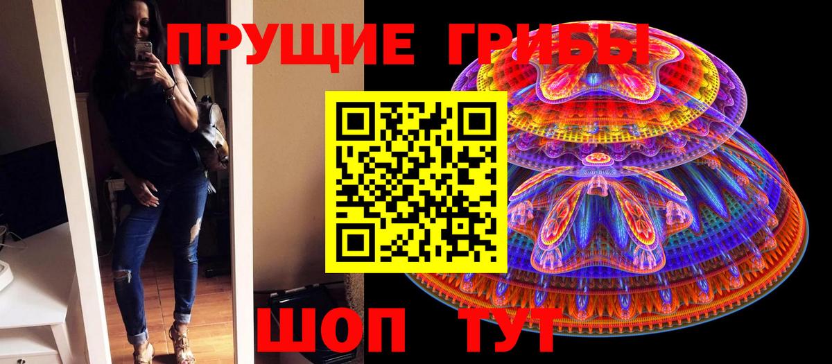 Галлюциногенные грибы ЛСД Тайшет