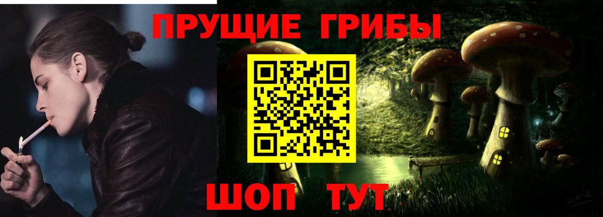 Галлюциногенные грибы Psilocybe  Вход с VPN  Тайшет 